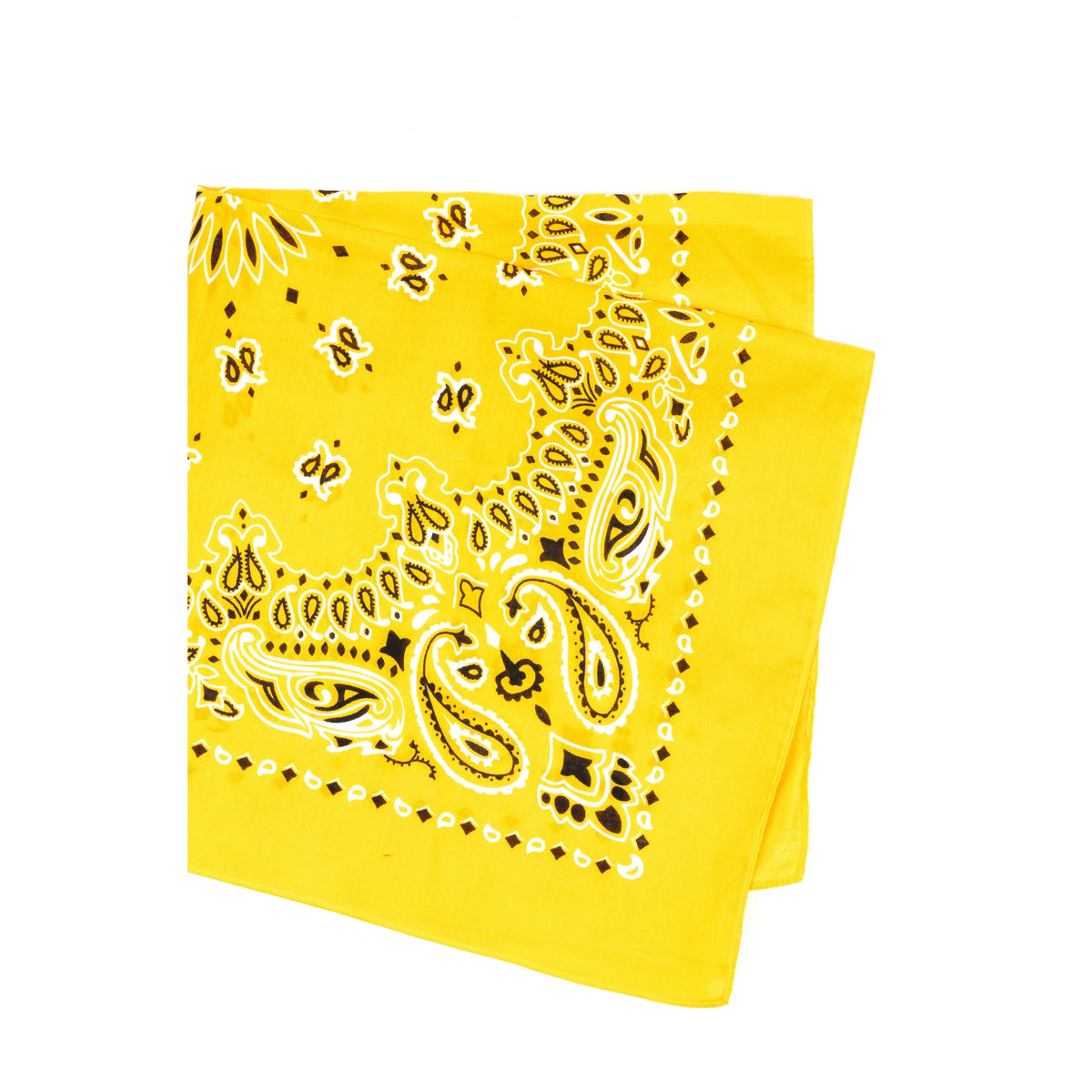 Trainmen Paisley Bandana - 22’’ x