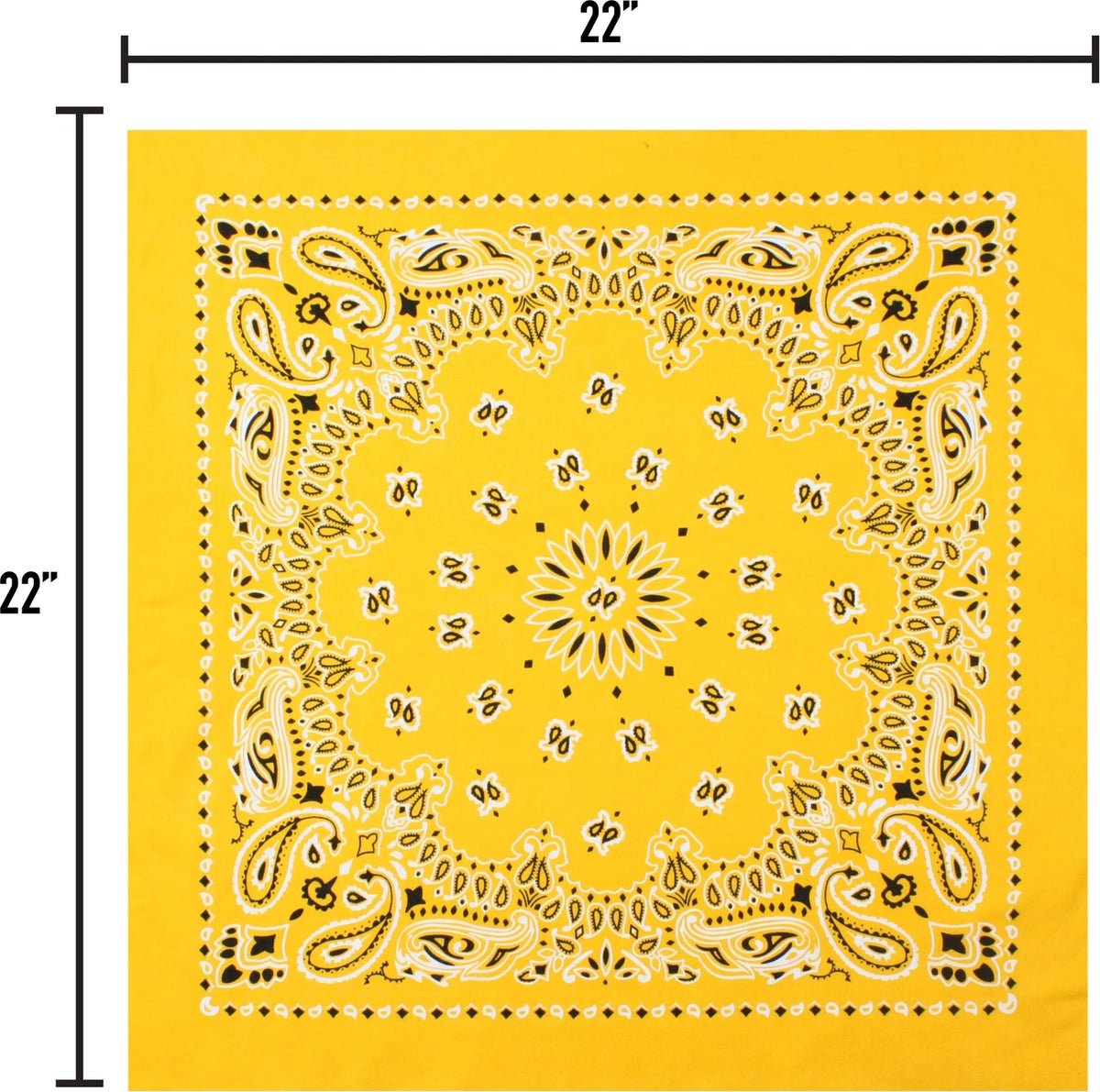 Trainmen Paisley Bandana - 22’’ x