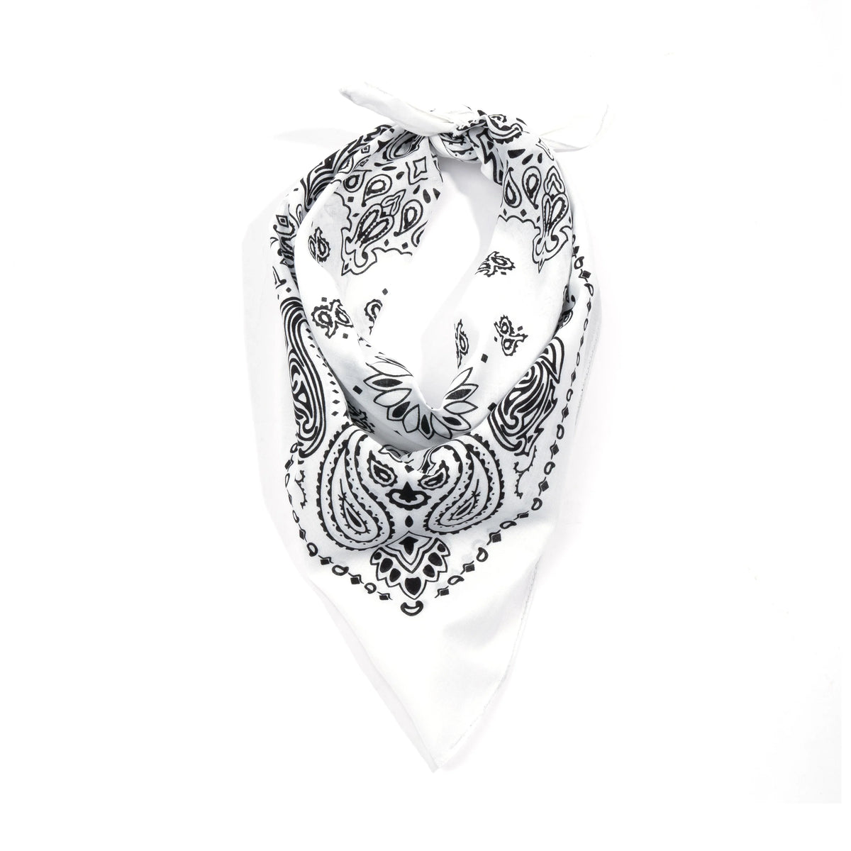 Trainmen Paisley Bandana - 22’’ x