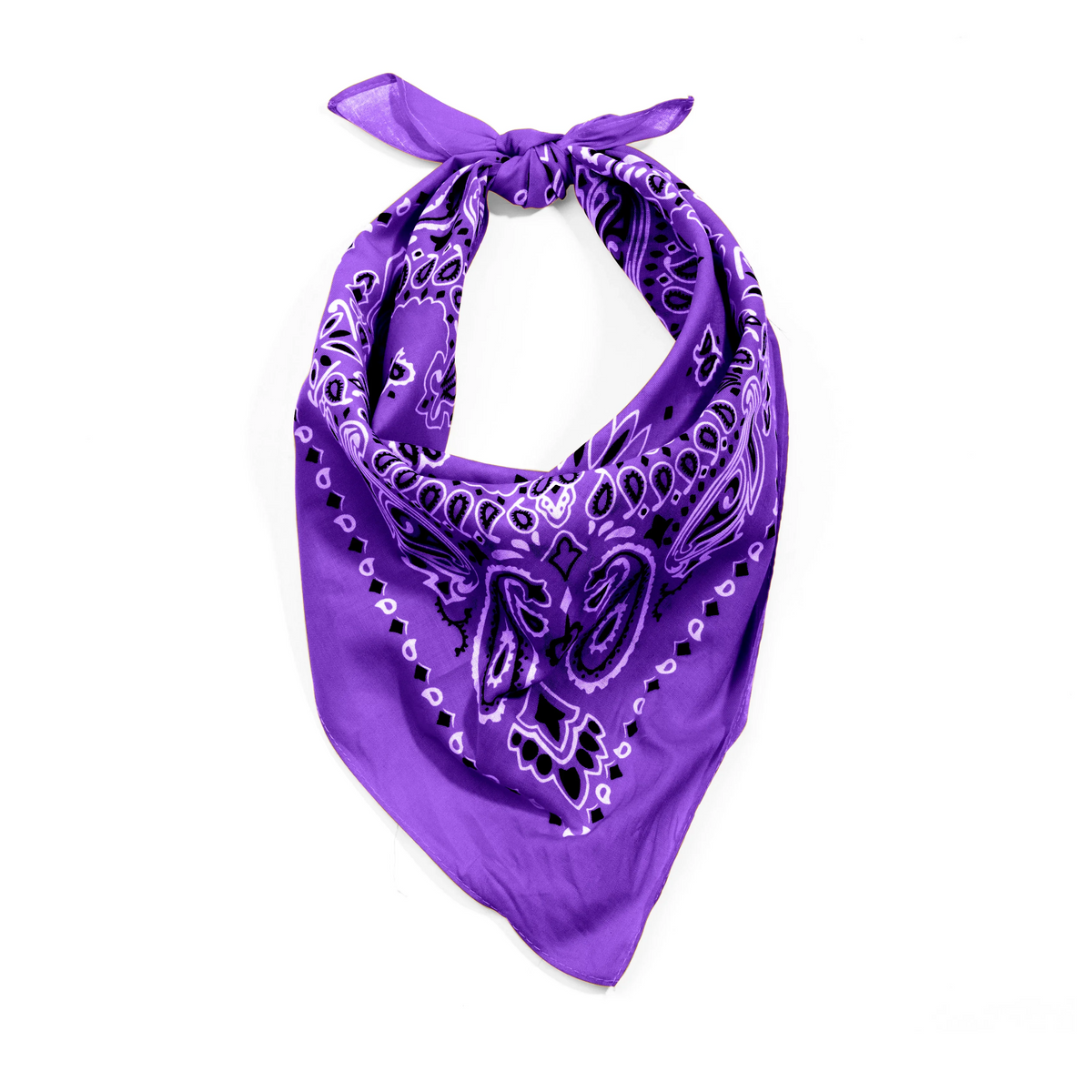 Trainmen Paisley Bandana - 22’’ x