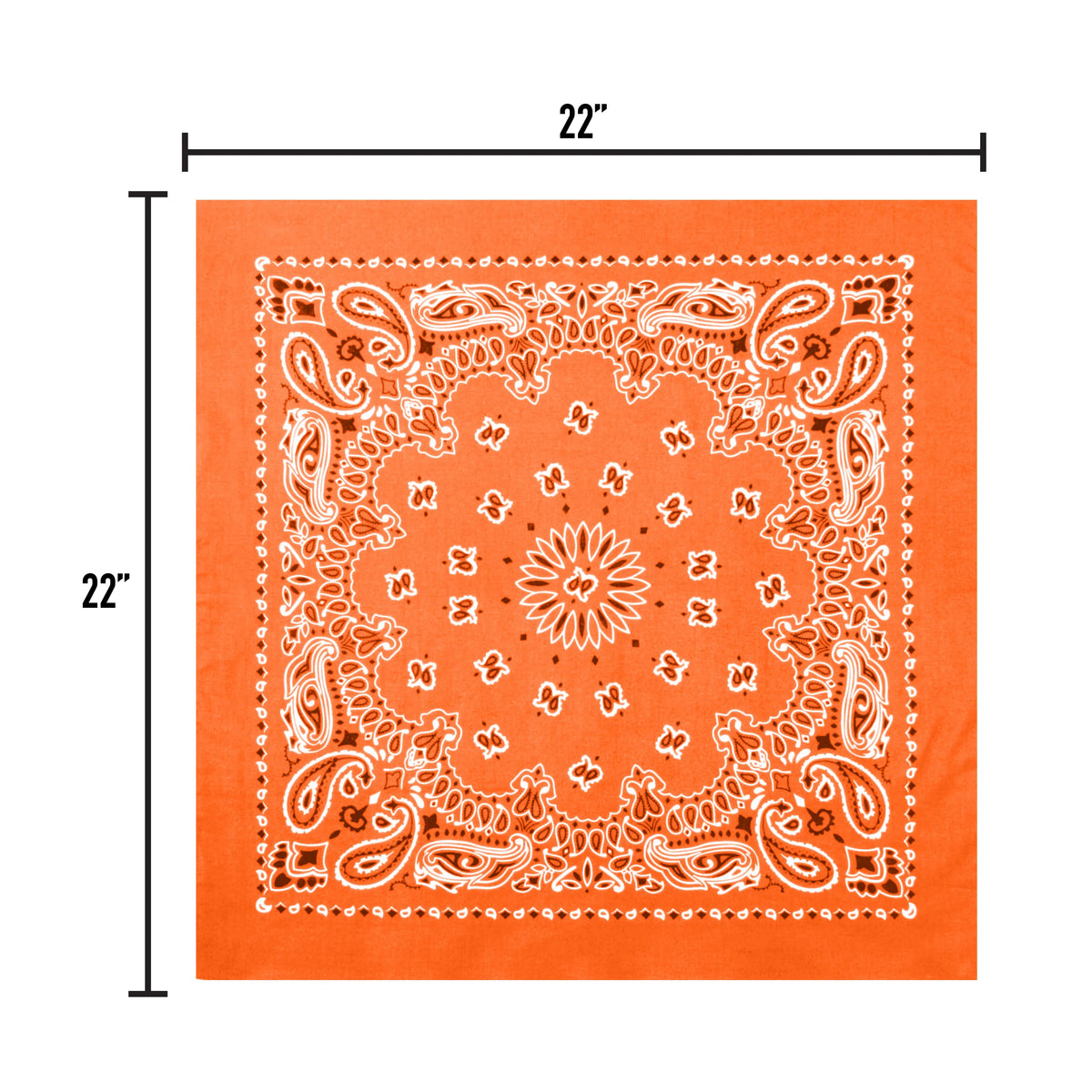 Trainmen Paisley Bandana - 22’’ x