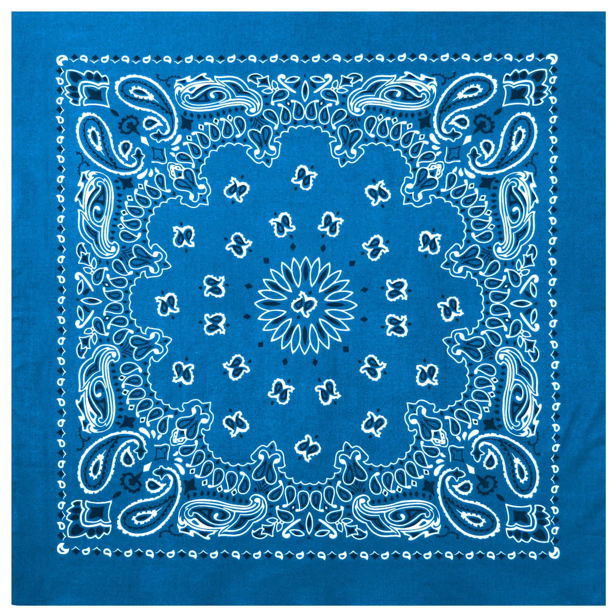 Trainmen Paisley Bandana - 22’’ x