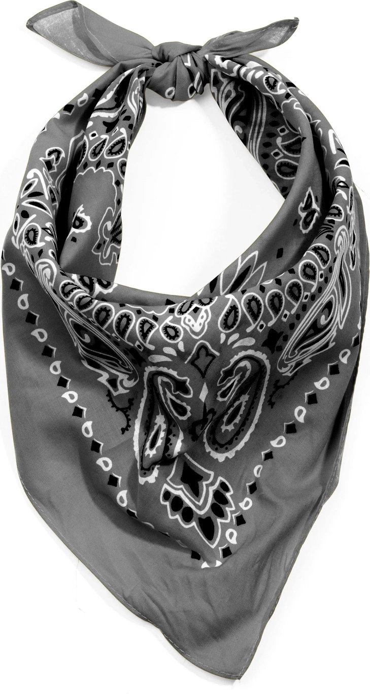 Trainmen Paisley Bandana - 22’’ x