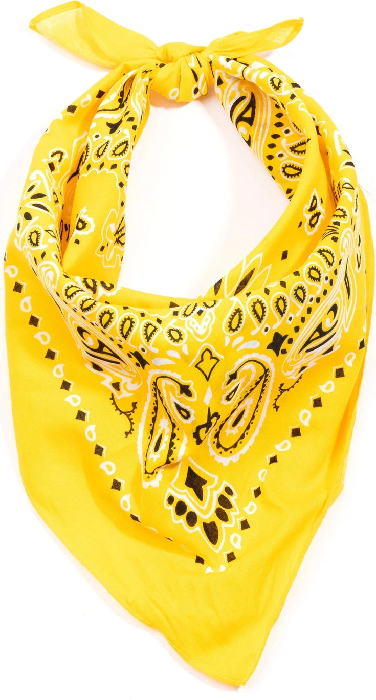 Trainmen Paisley Bandana - 22’’ x