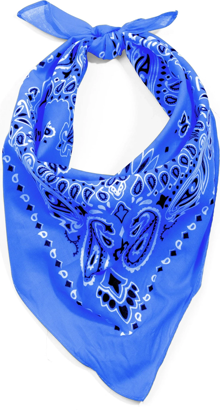 Trainmen Paisley Bandana - 22’’ x