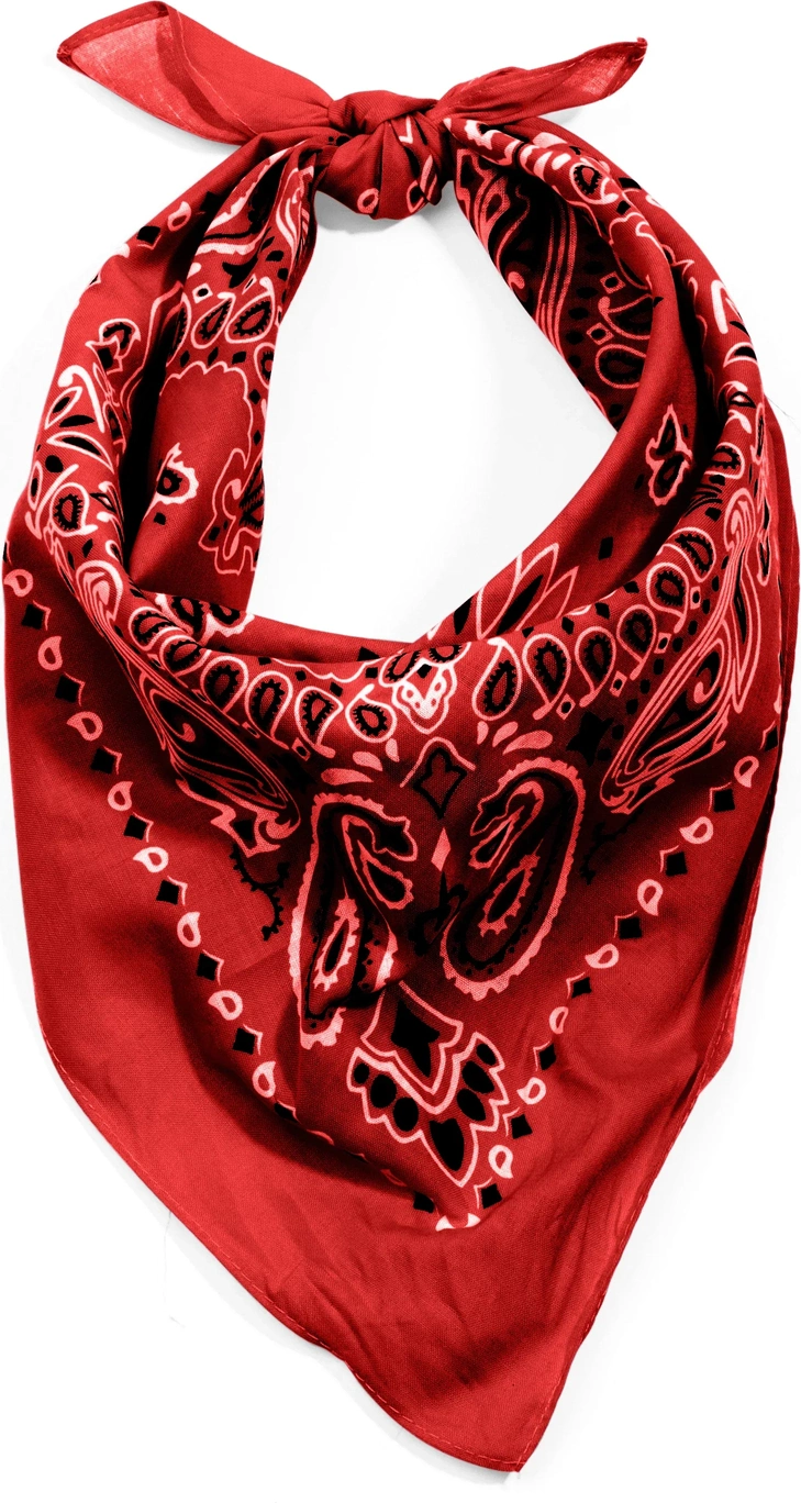 Trainmen Paisley Bandana - 22’’ x