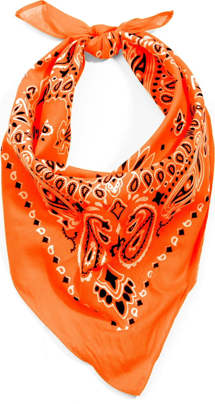 Trainmen Paisley Bandana - 22’’ x