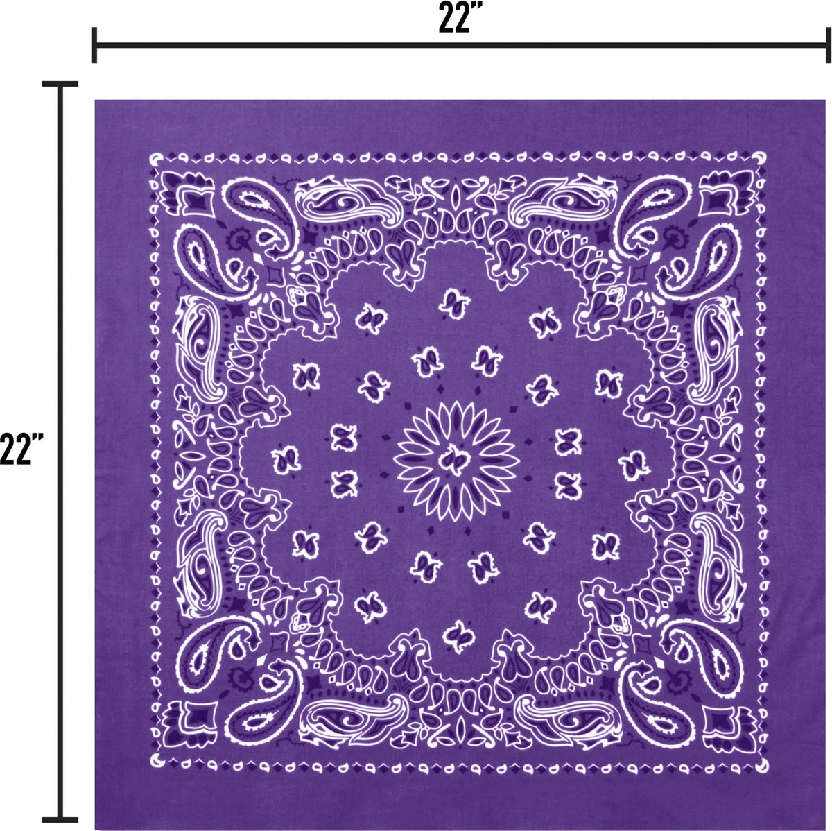Trainmen Paisley Bandana - 22’’ x