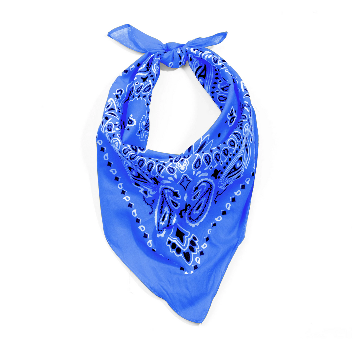 Trainmen Paisley Bandana - 22’’ x