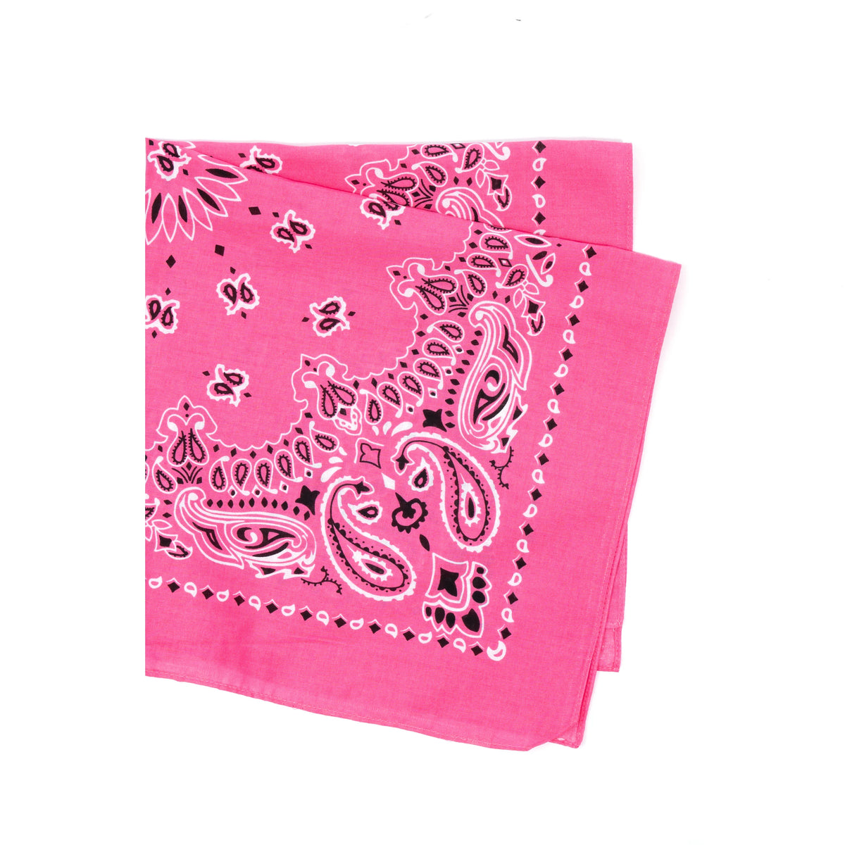 Trainmen Paisley Bandana - 22’’ x