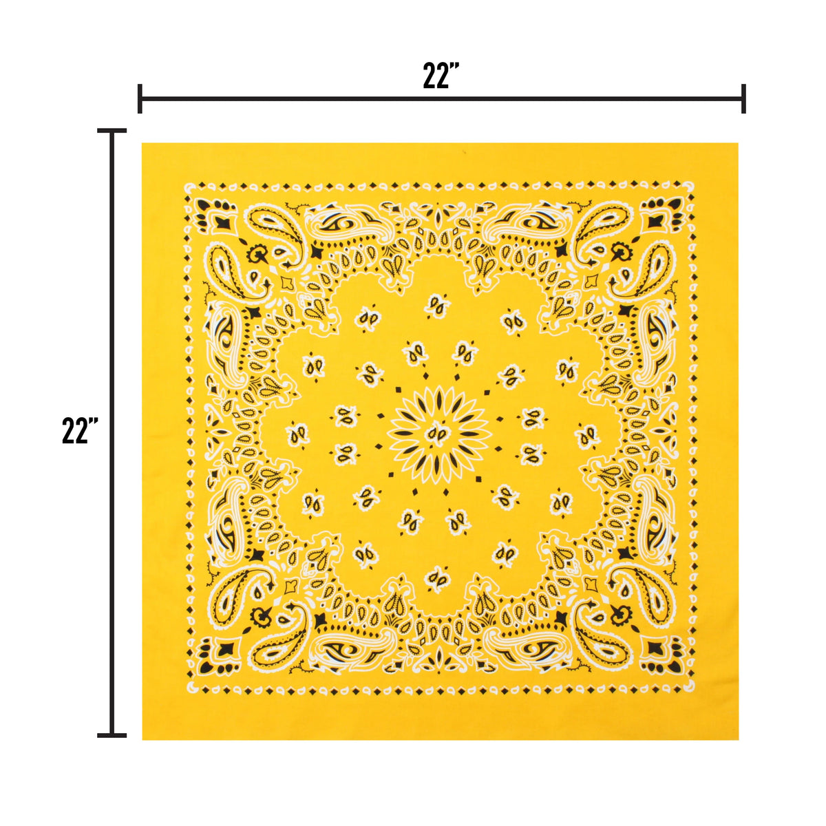 Trainmen Paisley Bandana - 22’’ x