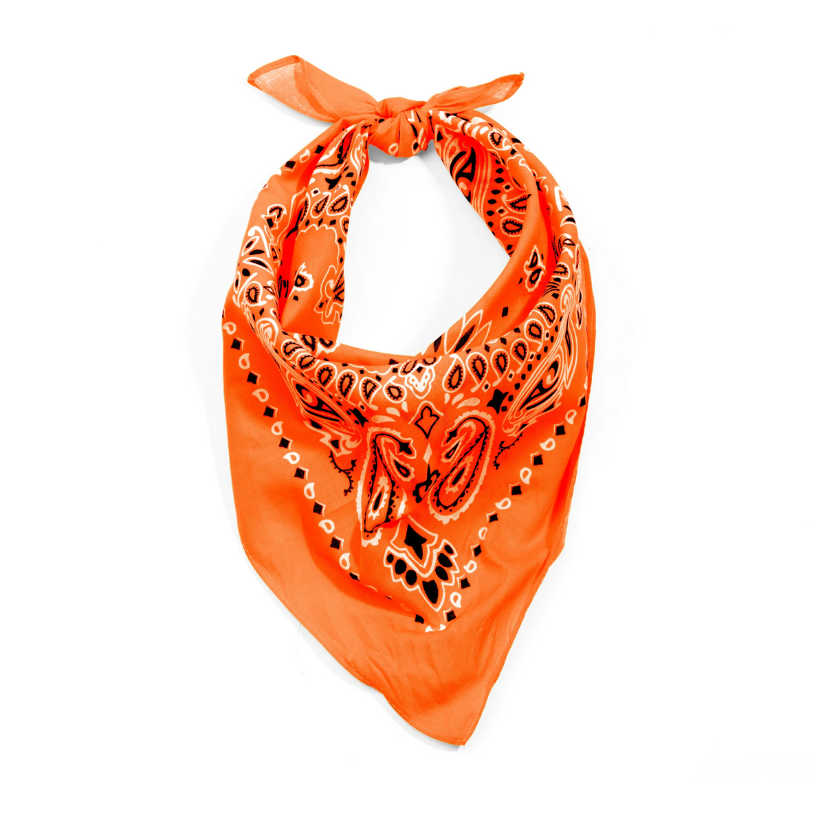 Trainmen Paisley Bandana - 22’’ x