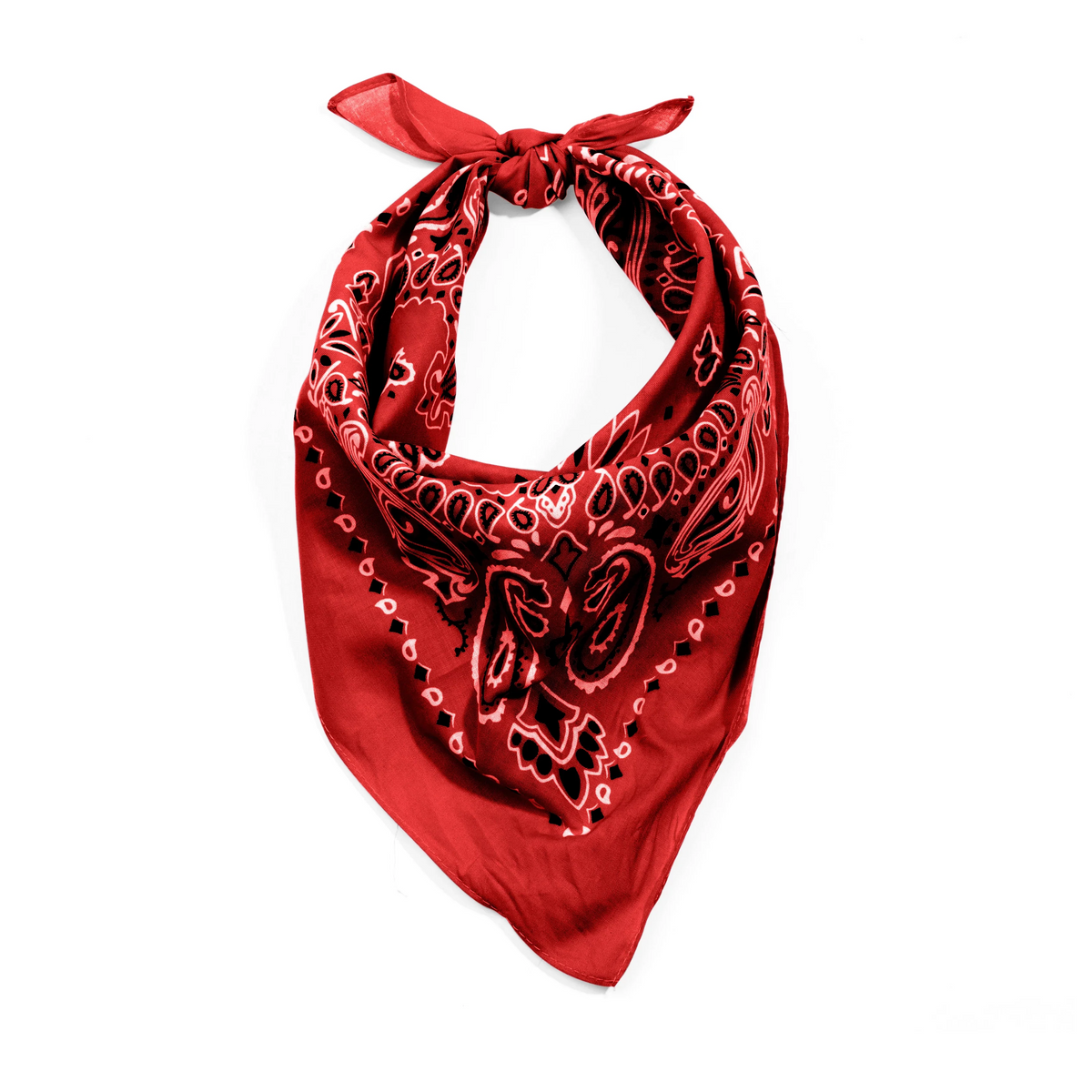 Trainmen Paisley Bandana - 22’’ x