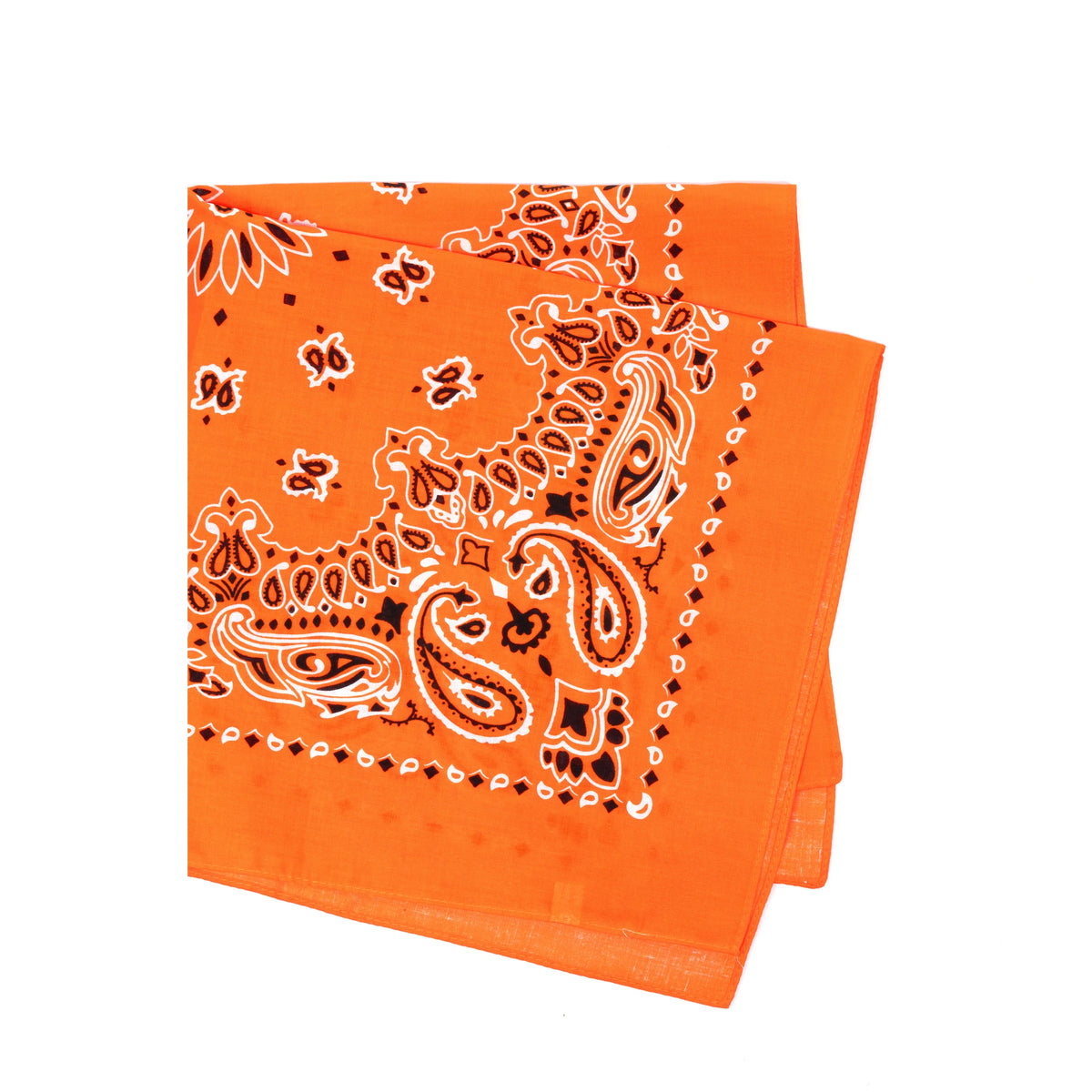 Trainmen Paisley Bandana - 22’’ x