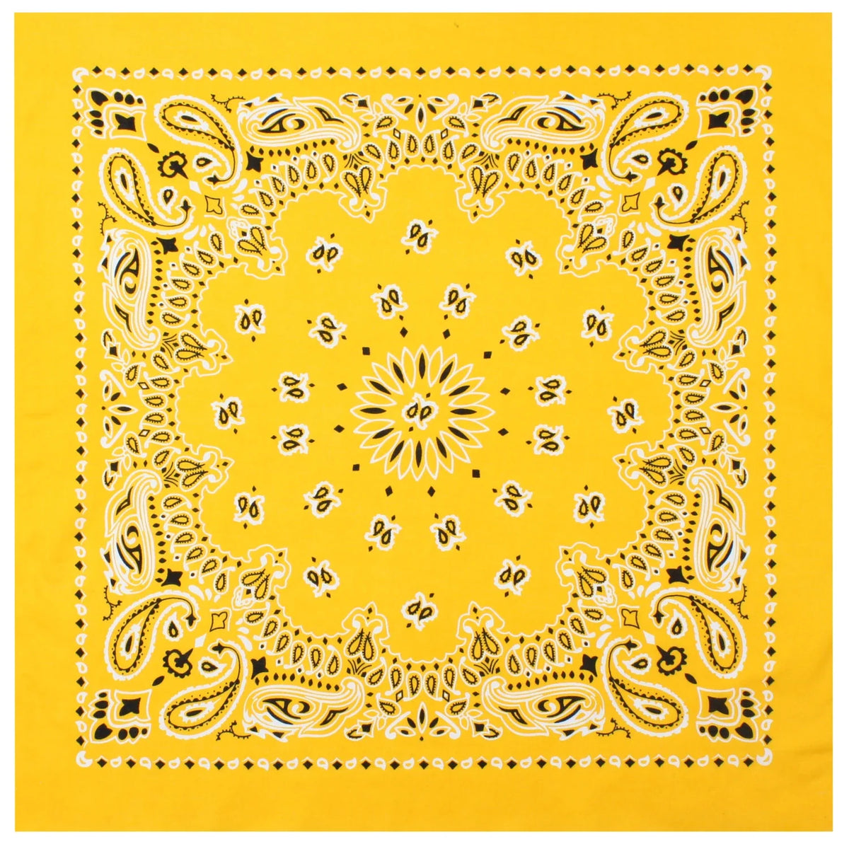 Trainmen Paisley Bandana - 22’’ x