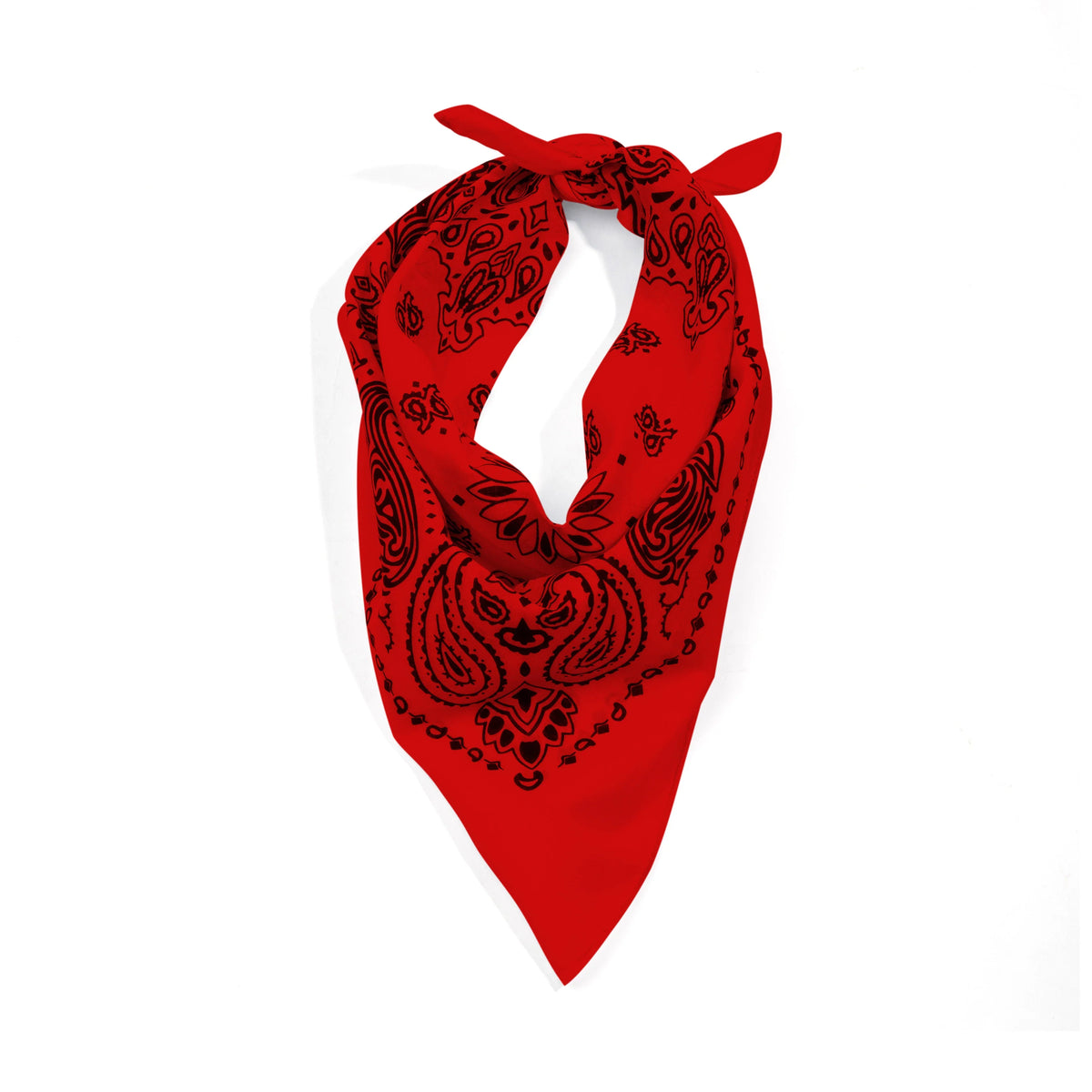 Trainmen Paisley Bandana - 22’’ x