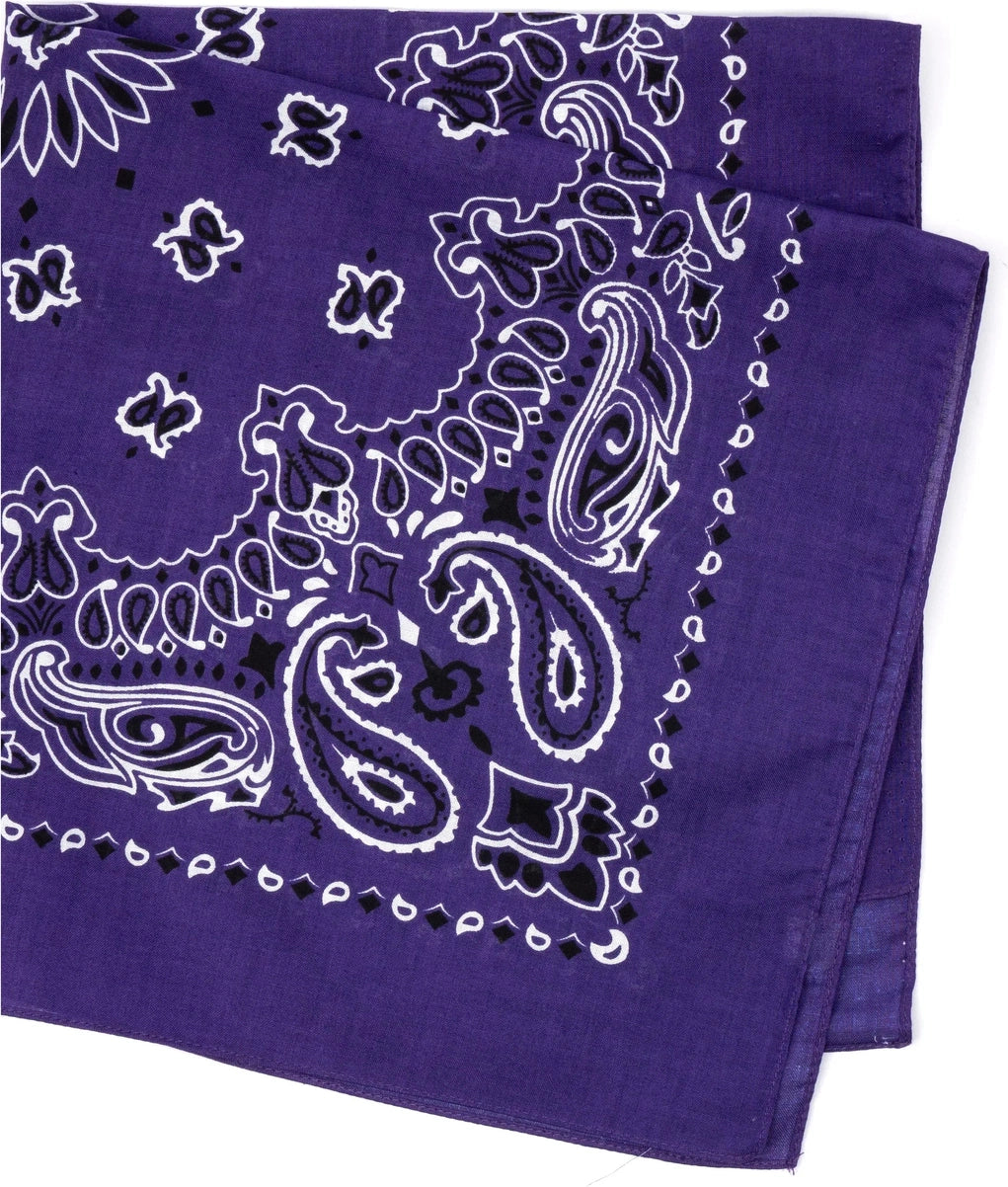 Trainmen Paisley Bandana - 22’’ x
