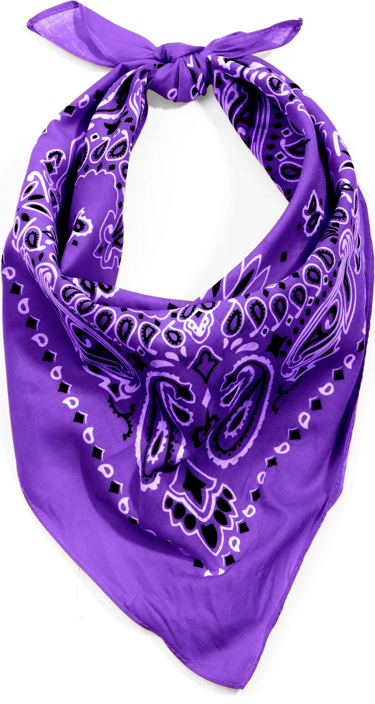 Trainmen Paisley Bandana – Extra-large - 27” x 27’’
