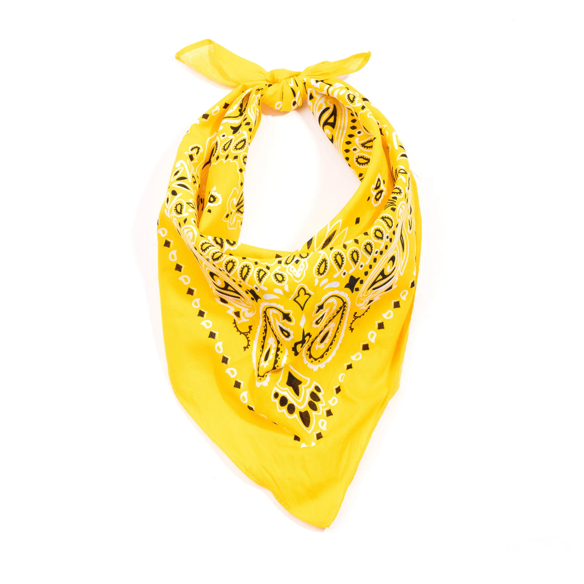 Trainmen Paisley Bandana – Extra-large - 27” x 27’’