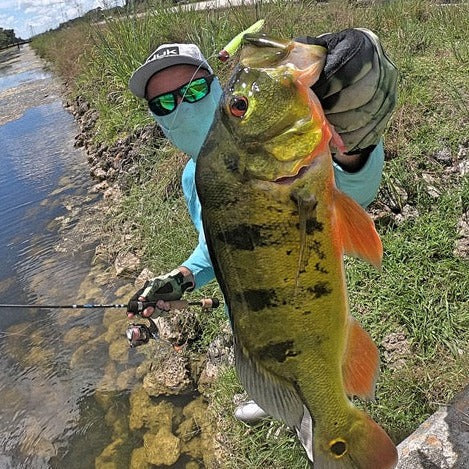 Ultra Light Fishing Rod - Spinning / 6’0’’