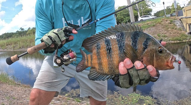 Ultra Light Fishing Rod - Spinning / 6’0’’