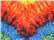 Woodstock Youth Multi-Color Tie-Dyed T-Shirt - 1000Y  grouped