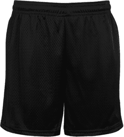 Badger Sport 222500 Mesh Tricot Youth 4&quot; Short - Black
