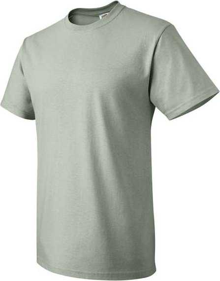Fruit Of The Loom 3930R HD Cotton Short Sleeve T-Shirt - Sagestone - HIT a Double - 2