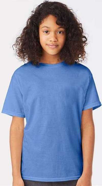 Hanes 5370 Ecosmart Youth T-Shirt - Carolina Blue - HIT a Double - 1