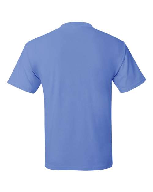 Hanes 5170 Ecosmart Short Sleeve T-Shirt - Carolina Blue - HIT a Double