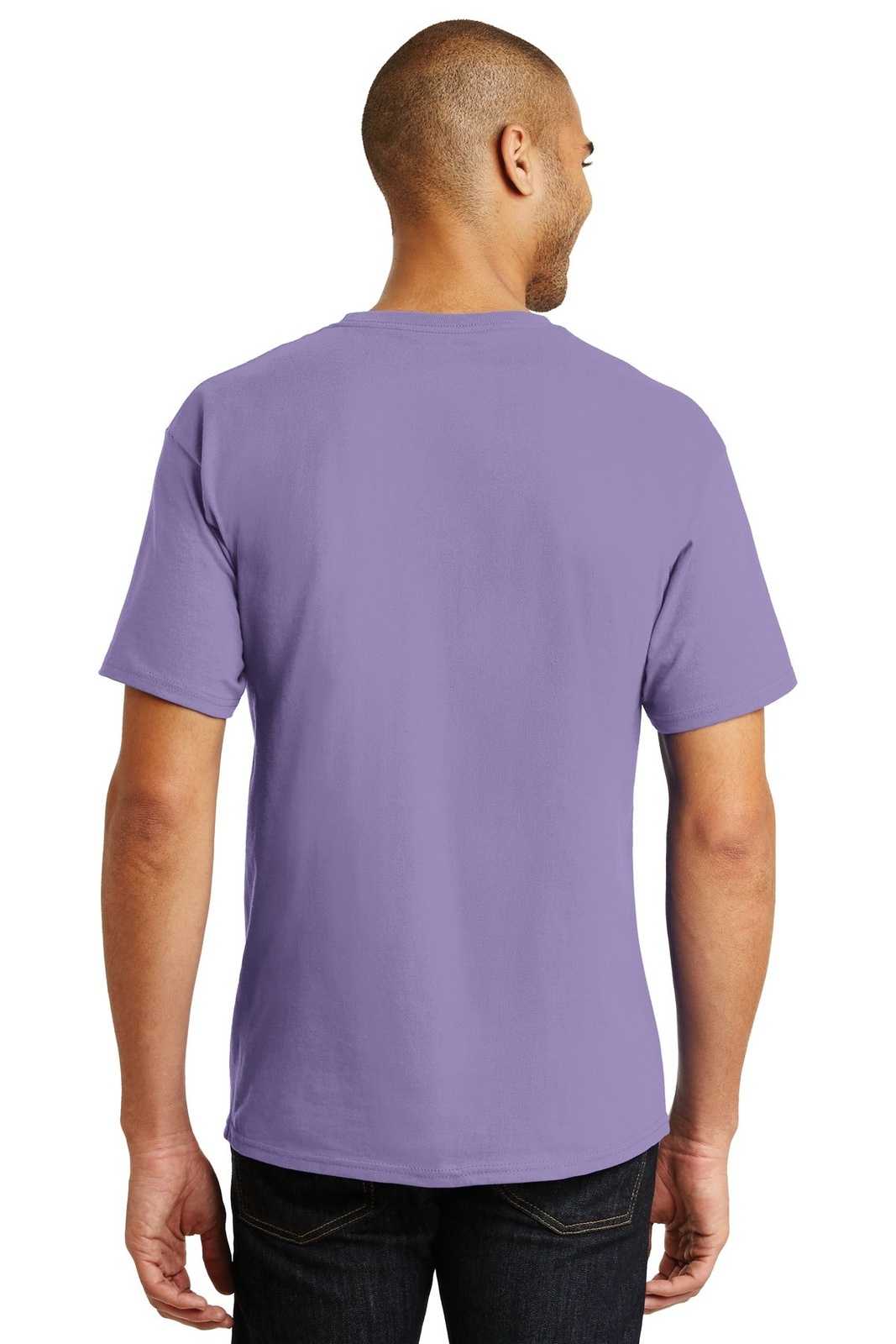 Hanes 5250 Tagless 100% Cotton T-Shirt - Lavender - HIT a Double