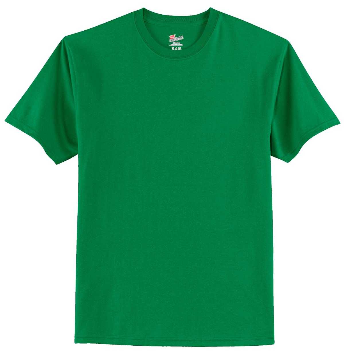 Hanes 5450 Youth Tagless 100% Cotton T-Shirt - Kelly Green - HIT a Double