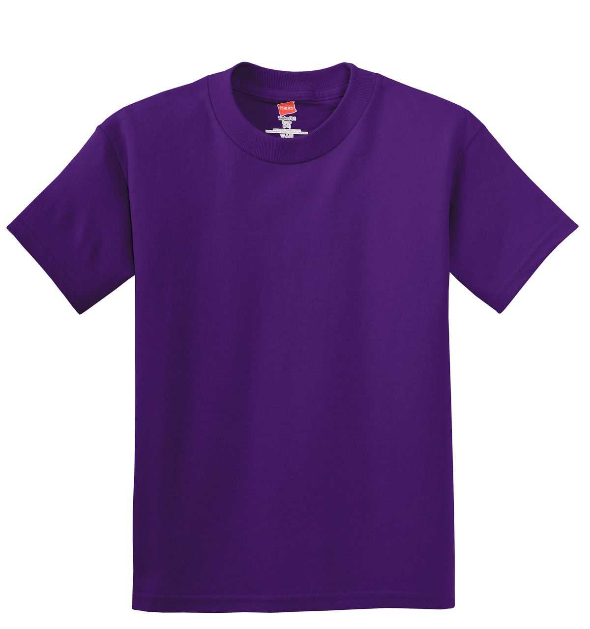 Hanes 5450 Youth Tagless 100% Cotton T-Shirt - Purple - HIT a Double