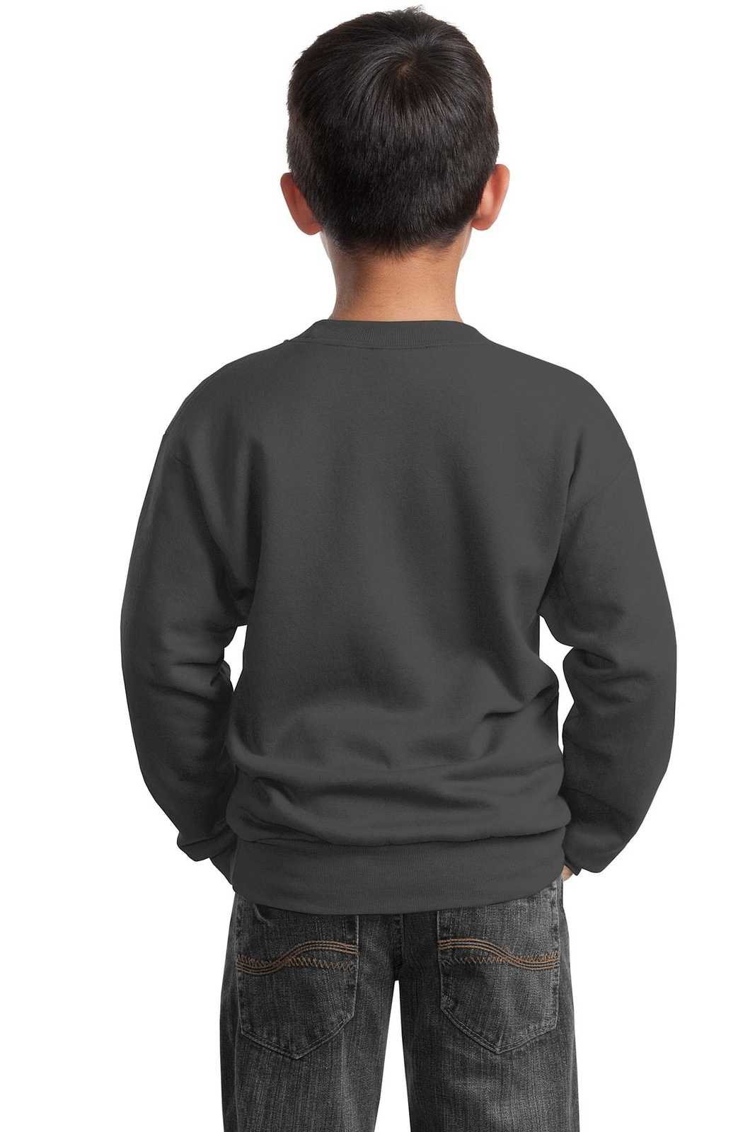 Port & Company PC90Y Youth Core Fleece Crewneck Sweatshirt - Charcoal - HIT a Double - 1