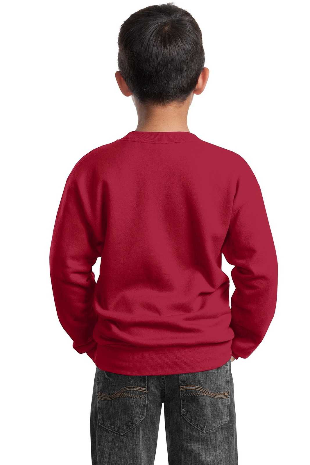 Port &amp; Company PC90Y Youth Core Fleece Crewneck Sweatshirt - Red - HIT a Double - 2