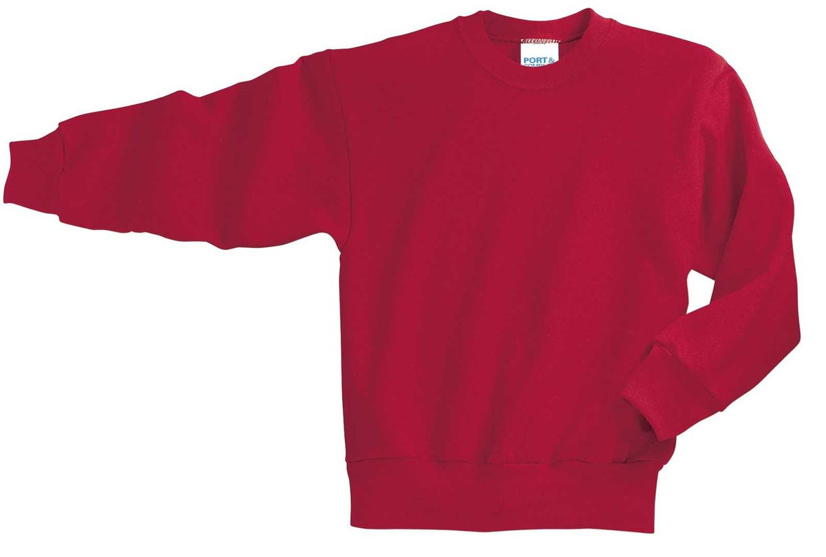 Port &amp; Company PC90Y Youth Core Fleece Crewneck Sweatshirt - Red - HIT a Double - 4