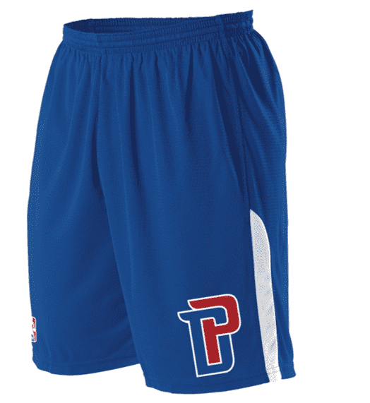 Alleson Athletic A205LY Youth NBA Logo Game Short - Detroit Pistons - HIT a Double - 1